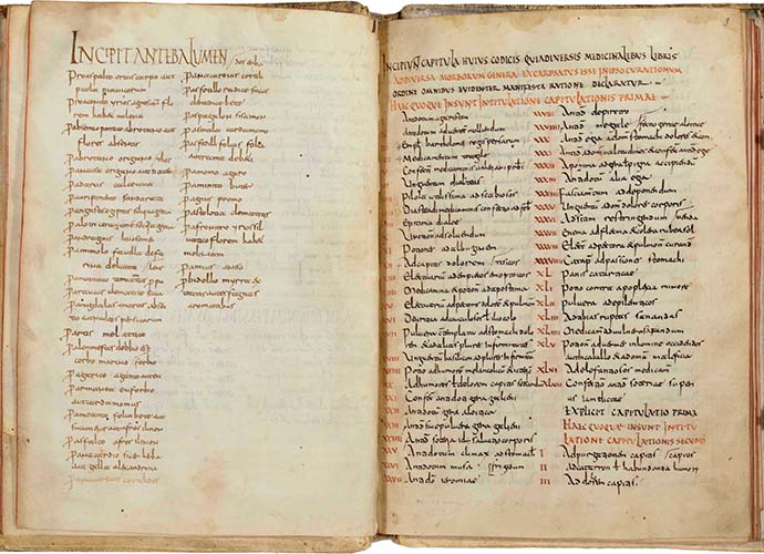 Ein eindrucksvolles Exponat: das Arzneibuch der Benediktinerabtei Lorsch (ca. 800 n.Chr.)