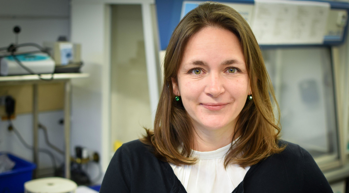 Prof. Dr. Johanna Pausch von der Universität Bayreuth erhält einen ERC Starting Grant für ein Forschungsprojekt